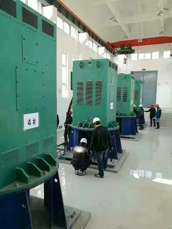 锡林浩特某污水处理厂使用我厂的立式高压电机安装现场